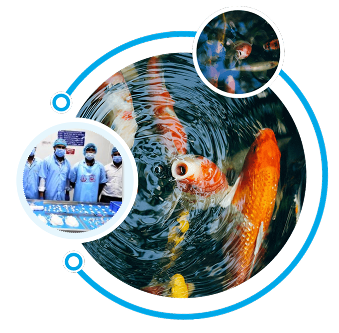 Notification Illustration